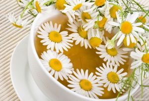 Особенности ромашкового чая